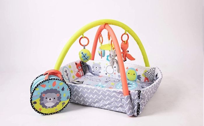 Baby Peppermint Trail Play Gym (FREE POSTAGE)