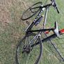 Giant Rapid Road Bike Image 3