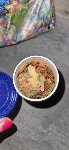 fish tank