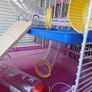 Hamster cage Image 2