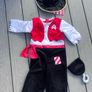 Halloween Costume Pirate Image 2