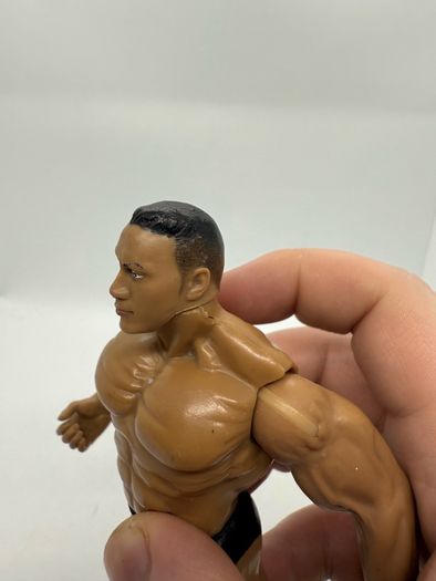 wwe Jakks The Rock action figure