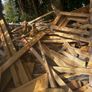free wood to take away Image 4