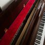 Pristine Condition Petrof 116 Walnut Upright Piano Image 3