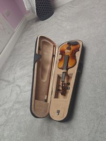 Violin