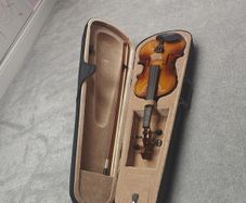 Violin