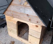 dog kennel