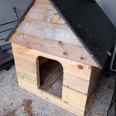 dog kennel