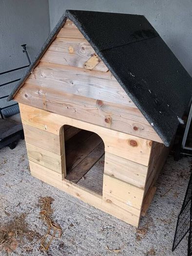 dog kennel