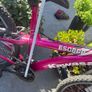 Kawasaki Escape Mountain Bike Image 2