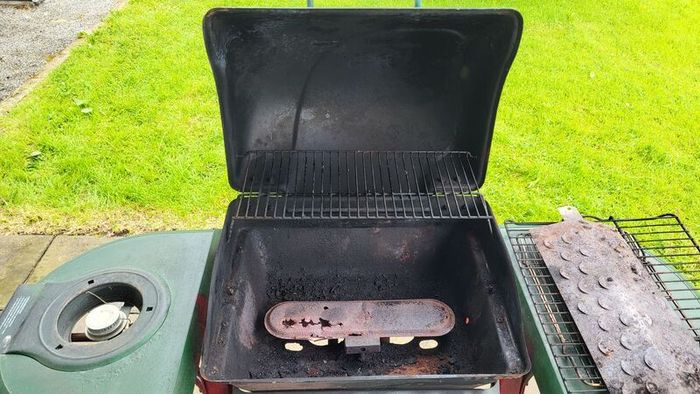Gas Barbeque Free
