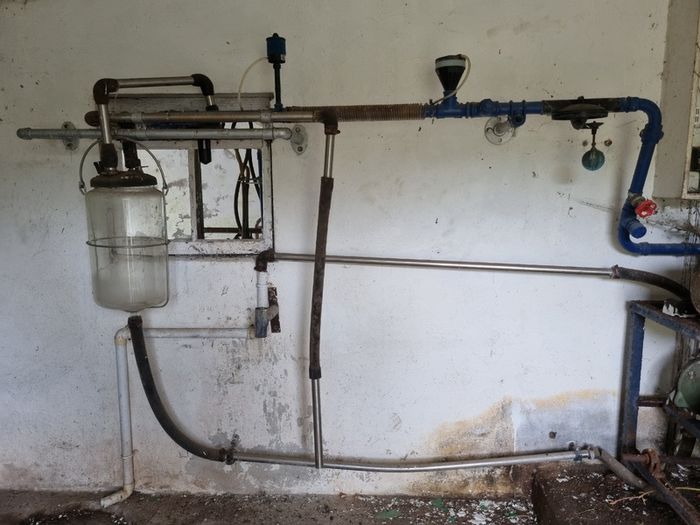 Vintage Milking Parlour
