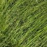 Hay and Haylage Image 6