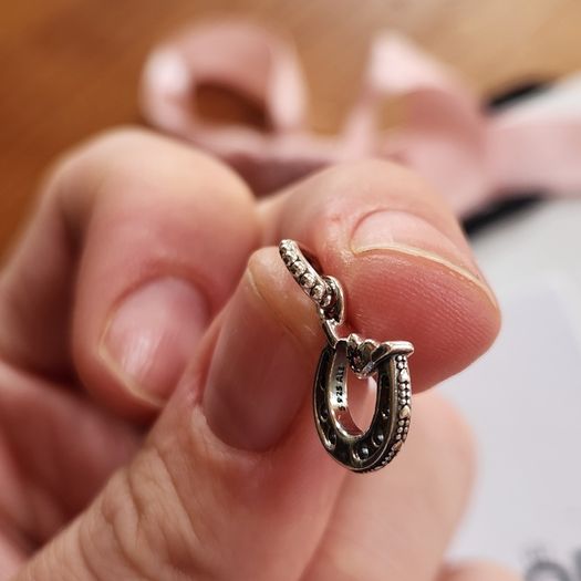 Pandora lucky charm new