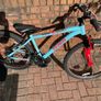 Team Mountain Bike Image 6