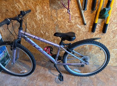 girls bike