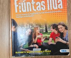 LC Irish Book