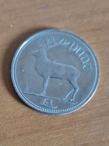 Irish Coin
