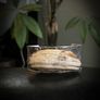 Reclaimed Wild Boar Tusk soldered to a handcrafted 925 silver cuff bracelet Tribal Jewelry Image 3