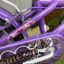 16" bike Image 2