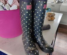 ladies wellies Joules UK 7