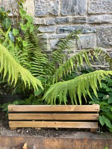 New Pressure treated slatted garden edging with built in stakes 60cmx15cm