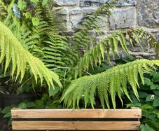 New Pressure treated slatted garden edging with built in stakes 60cmx15cm