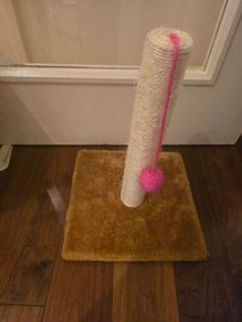 cat scratch pole