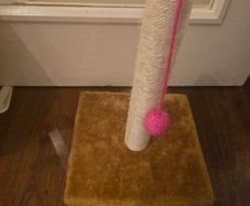 cat scratch pole