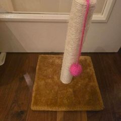 cat scratch pole