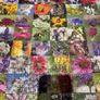 Ravensburger Jigsaw Puzzle 1000 pieces Image 4