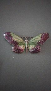 butterfly broach