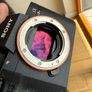 Sony A7iii Image 9
