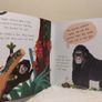The Fussy Gorilla Story Book Image 9