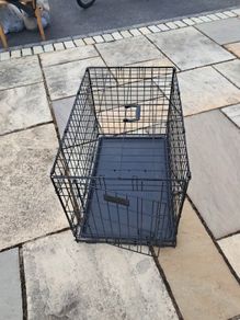 pet