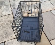pet