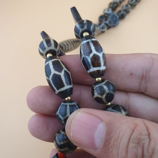 Rare Antique Burmese Pumtek Pyu Petrified Wood Beads Necklace