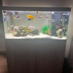 240 litre Aquarium