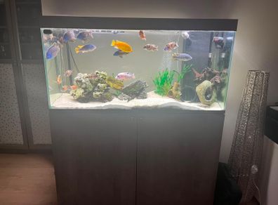 240 litre Aquarium