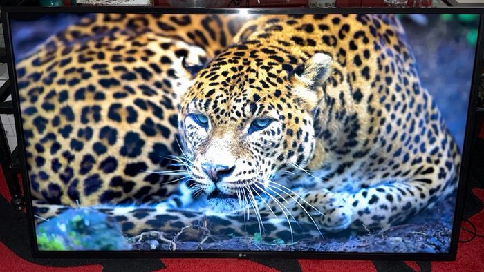 LG 50-inch 4K Ultra HD Smart TV