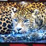LG 50-inch 4K Ultra HD Smart TV Image 2