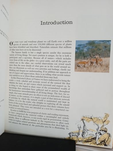 The Illustrated Library of Nature: A Pictorial Encyclopedia of Natural History and Ecology Published by H. S. Stuttman (14 Volumes)