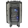 10" Portable PA Speaker Image 3