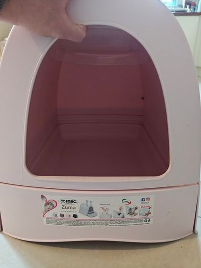 large cat litter