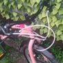 bikes Image 4