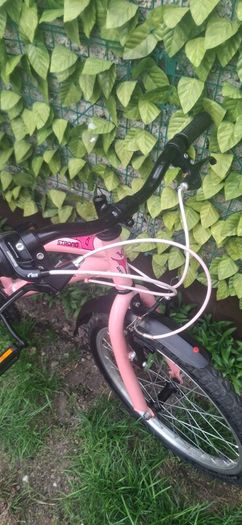 bikes