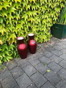 2 glass vases
