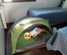 Little Life Arc 2 - Travel cot/sleepy tent - Sun Shade cover