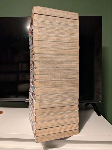 Black Cat manga 1-20