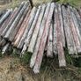 Round fence posts Image 2